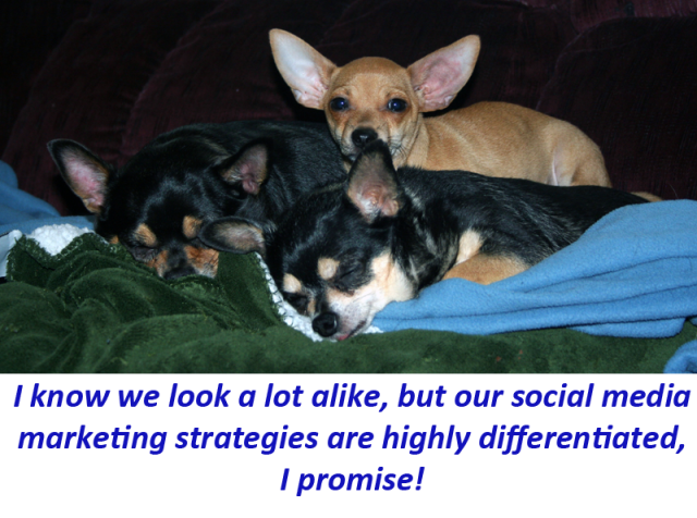 I know we look a lot alike, but our social media marketing strategies are highly differentiated, I promise!